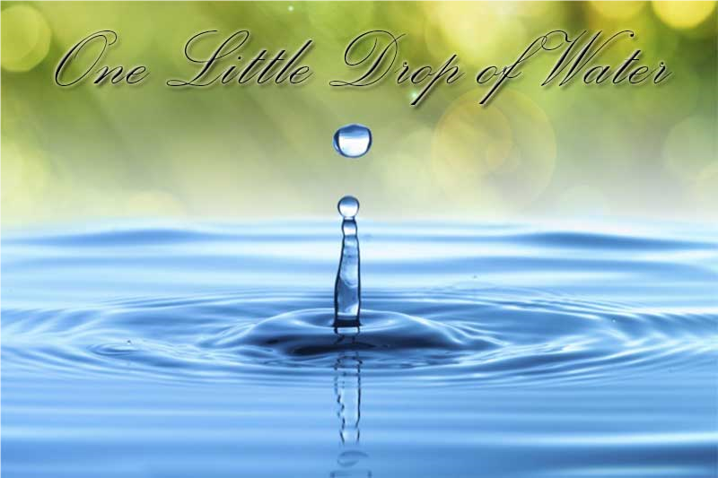 The Adventures of a little drop of water: The Water Treatment Process